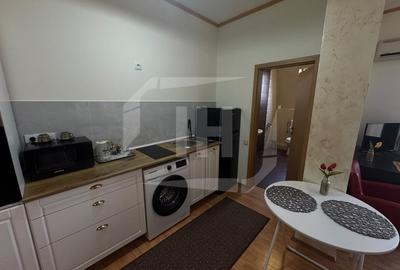 Garsonieră semidecomandată, mobilată în Borhanci - 4