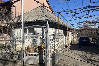 Casă cu 4 camere în Tarna Mare - 5