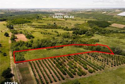 Teren de 7101 mp, în Paleu - 1