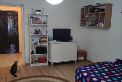 Garsonieră semidecomandată în Dristor