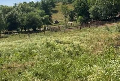 Teren de 4630 mp, în Rădmănești - 4