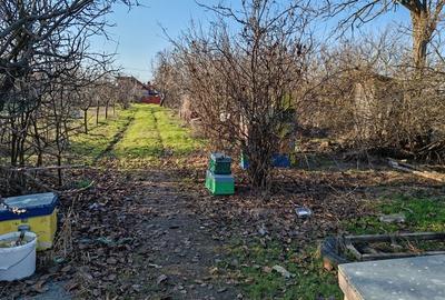 Casă cu 3 camere în Central - 3