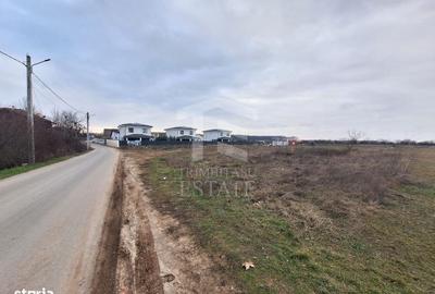 Spațiu comercial, în Corbeanca - 8