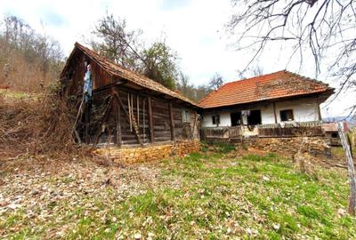 Casă cu 2 camere în Boiu