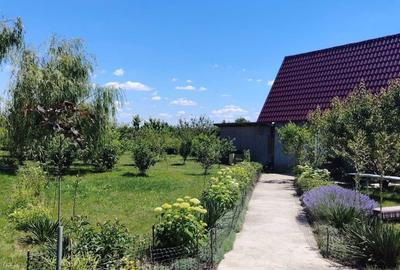 Casă cu 4 camere în Aroneanu - 4