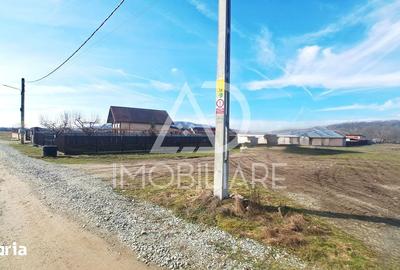 Teren de 3725 mp, în Bumbești-Pițic - 5
