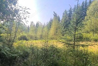 Teren de 6450 mp, în Neagra - 1