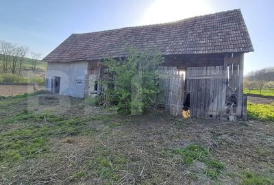Casă individuală cu 4 camere cu Teren 15000 Mp în Luduș