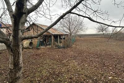 Casă cu 5 camere cu Teren 1717 Mp în Corabia - 2