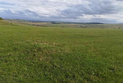 Teren de 42000 mp, în Central - 6