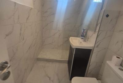 Apartament cu 2 camere în Precista - 6