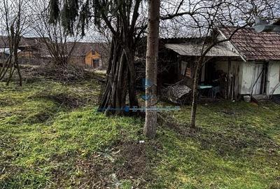 Casă individuală cu 3 camere cu Canalizare în Ohaba - 6