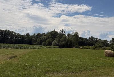 Teren de 16 mp, în Chechiș