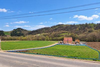 Teren de 1000 mp, în Sava