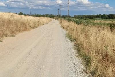Teren în Mofleni - 3
