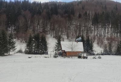 Teren de 9172 mp, în Pintic