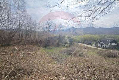 Teren de 2000 mp, în Central