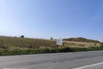 Teren de 2500 mp, în Cocorăștii Colț
