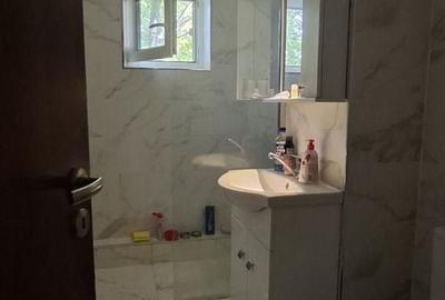 Apartament cu 3 camere decomandat în Aradului - 17