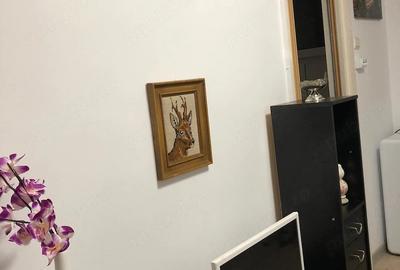 Garsonieră semidecomandată în Drumul Taberei - 1