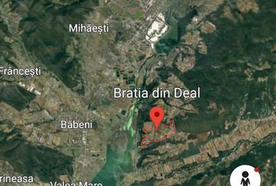 Casă cu 3 camere cu Teren 5513 Mp în Bratia din Deal - 6