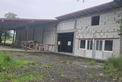 Spațiu comercial, în Ideciu de Jos
