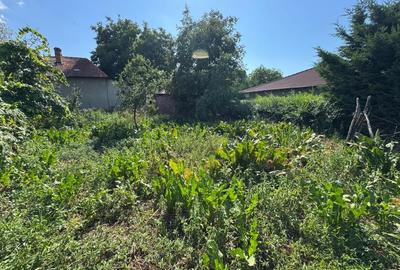 Casă individuală cu 4 camere cu Canalizare în Hăpria