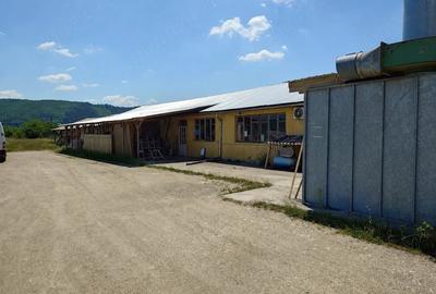 Teren de 3500 mp, în Iclod - 2