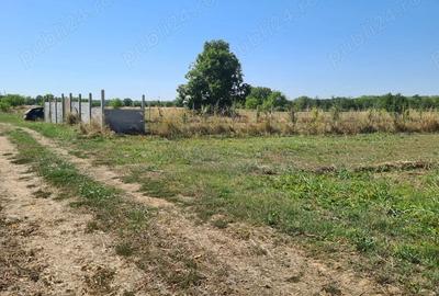 Teren de 5000 mp, în Central - 3