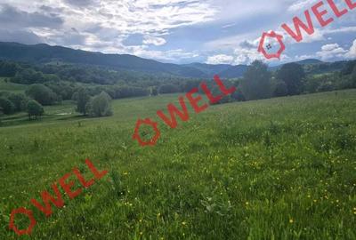 Teren de 7940 mp, în Vama Buzăului