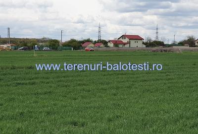 Teren Construcții intravilan de 800 mp, în Dumbrăveni - 7