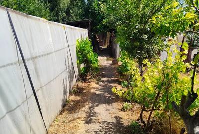 Casă cu 6 camere cu Teren 1596 Mp în Nerău - 1