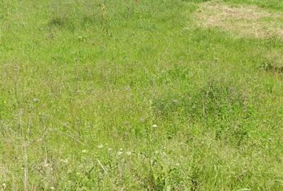 Teren de 800 mp, în Slătioara - 1