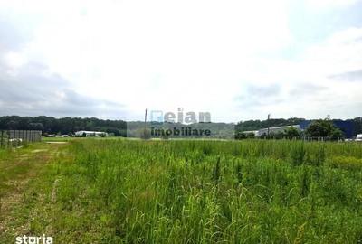 Teren de 3300 mp, în Ciolpani - 7