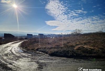 Teren agricol intravilan de 838 mp, în Iris - 1