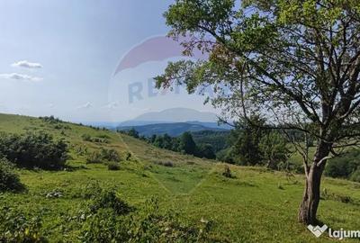 Teren de 128948 mp, în Munteni - 16
