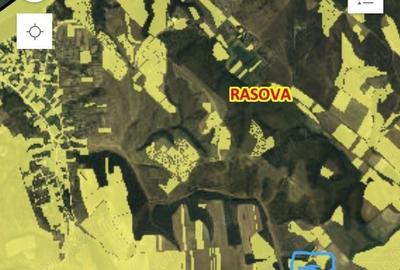 Teren în Rasova