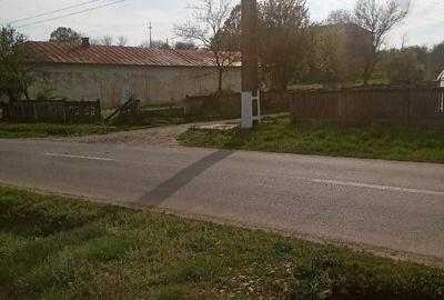 Teren de 700 mp, în Băcălești - 2
