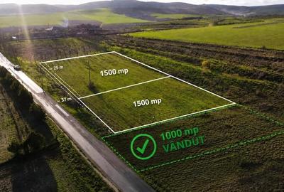 Teren de 3000 mp, în Somova