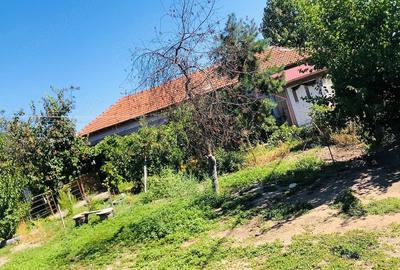 Casă cu 4 camere cu Teren 1400 Mp în Central