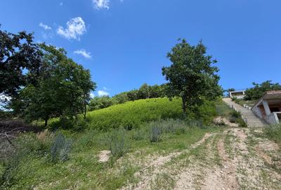 Teren Construcții intravilan de 2500 mp, în Cisnădioara - 3