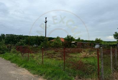 Teren Construcții intravilan de 500 mp, în Botiz - 4