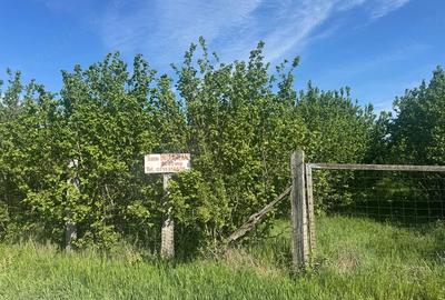 Teren de 3000 mp, în Central