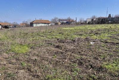 Casă cu Teren 3437 Mp în Central - 4