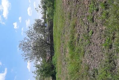 Teren de 7000 mp, în Poșta (Topliceni) - 9
