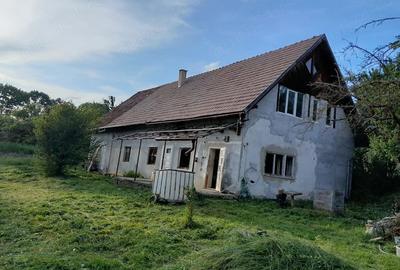 Casă cu 10 camere cu Teren 1000 Mp în Angheluș - 2