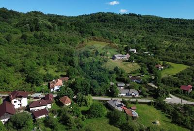 Casă individuală cu 4 camere cu Teren 3765 Mp în Mihăești - 9