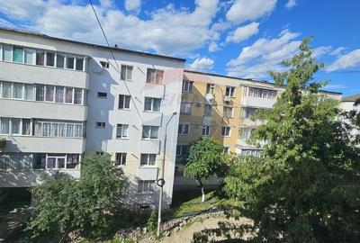 Apartament cu 2 camere decomandat, mobilat în Precista - 15