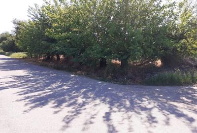 Teren Construcții intravilan de 928 mp, în Popești - 4