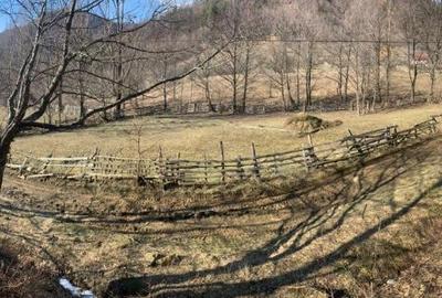 Teren extravilan de 5384 mp, în Nehoiu - 3